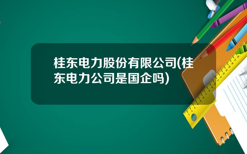 桂东电力股份有限公司(桂东电力公司是国企吗)
