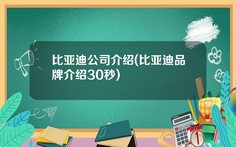 比亚迪公司介绍(比亚迪品牌介绍30秒)