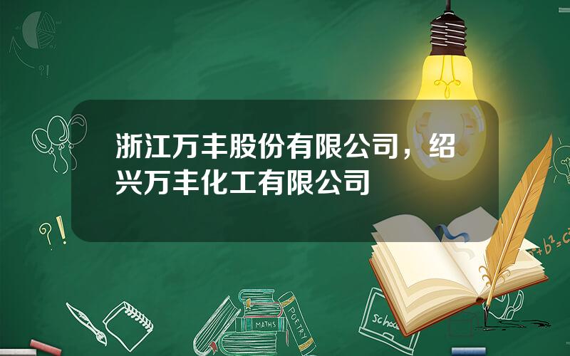 浙江万丰股份有限公司，绍兴万丰化工有限公司