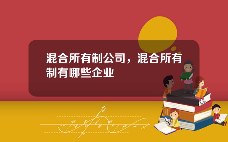 混合所有制公司，混合所有制有哪些企业