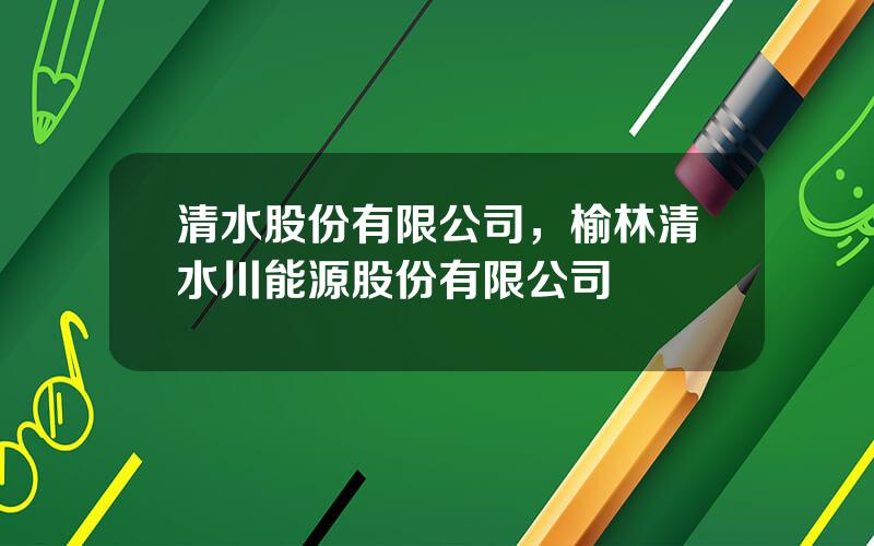 清水股份有限公司，榆林清水川能源股份有限公司