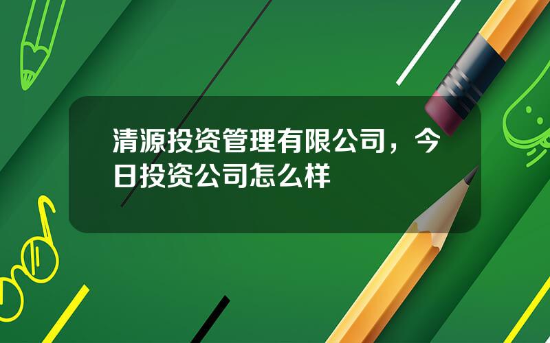 清源投资管理有限公司，今日投资公司怎么样