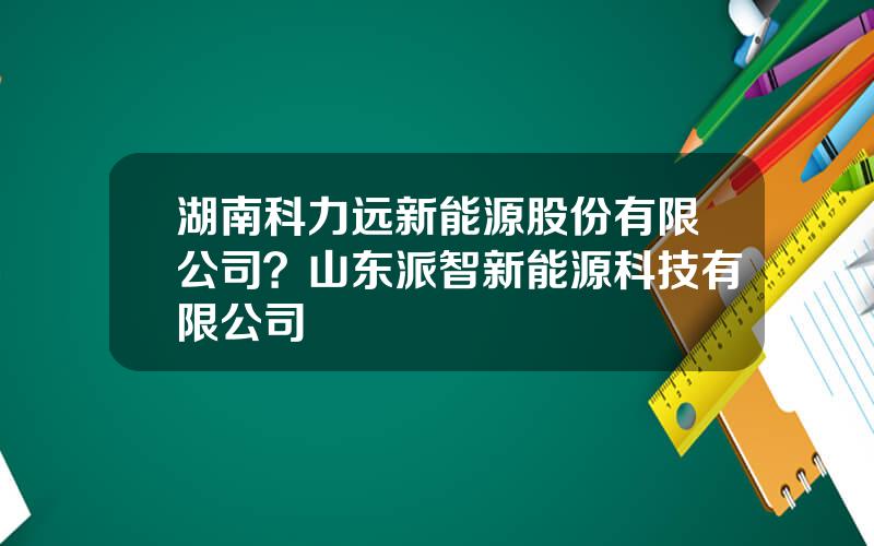 湖南科力远新能源股份有限公司？山东派智新能源科技有限公司