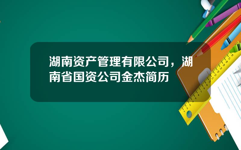 湖南资产管理有限公司，湖南省国资公司金杰简历