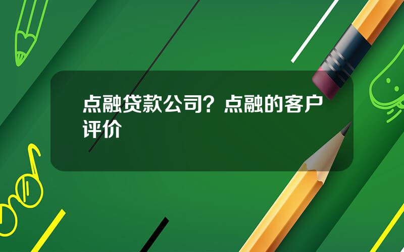 点融贷款公司？点融的客户评价