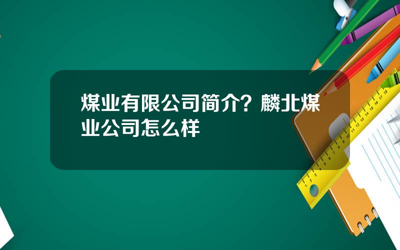 煤业有限公司简介？麟北煤业公司怎么样