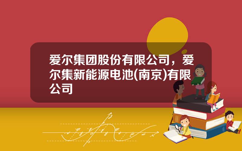 爱尔集团股份有限公司，爱尔集新能源电池(南京)有限公司