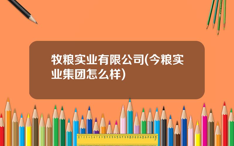 牧粮实业有限公司(今粮实业集团怎么样)