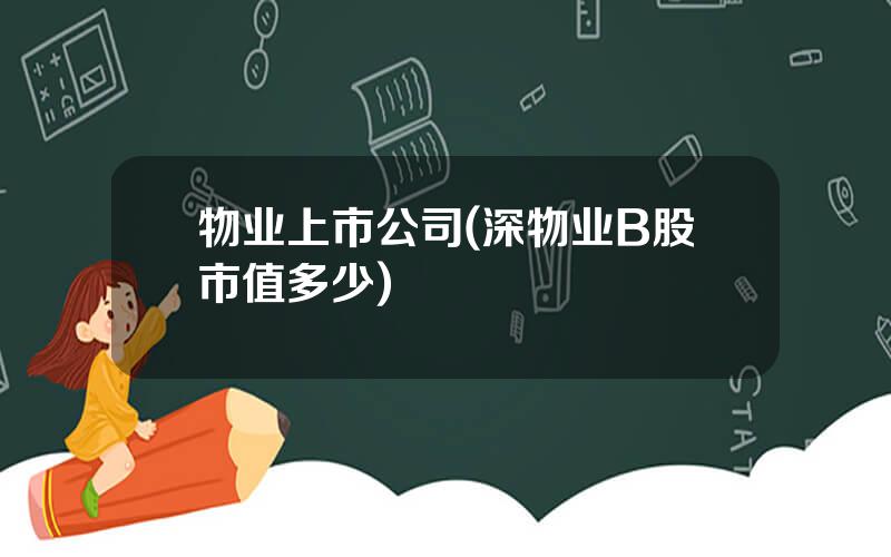 物业上市公司(深物业B股市值多少)