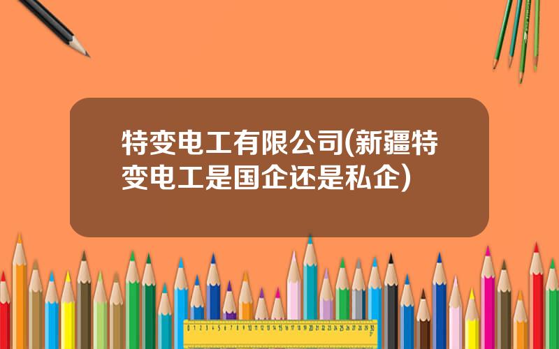 特变电工有限公司(新疆特变电工是国企还是私企)
