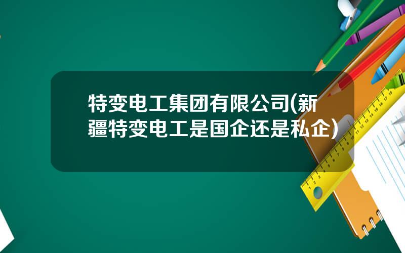 特变电工集团有限公司(新疆特变电工是国企还是私企)