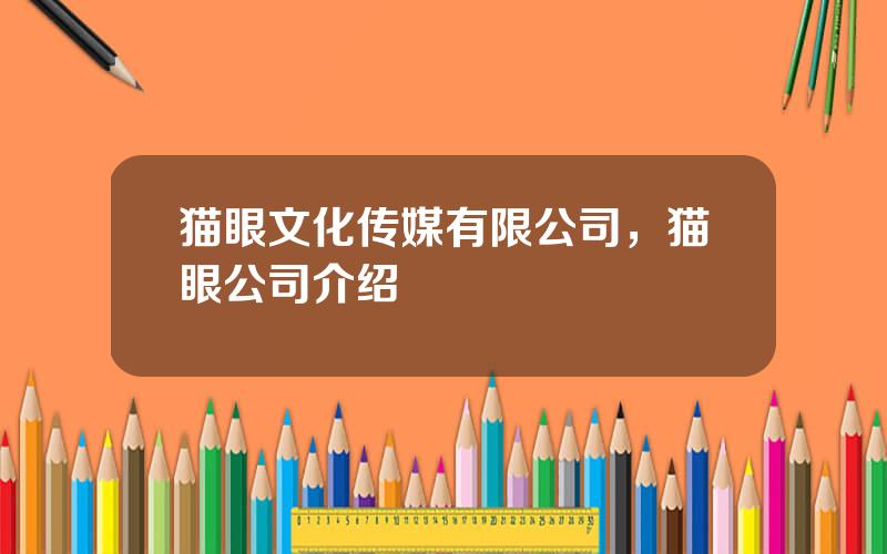 猫眼文化传媒有限公司，猫眼公司介绍