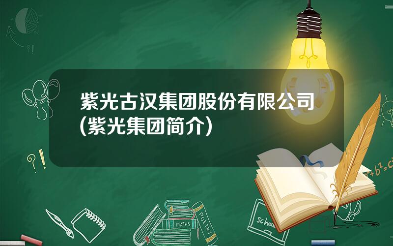 紫光古汉集团股份有限公司(紫光集团简介)