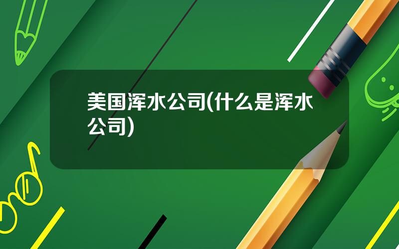 美国浑水公司(什么是浑水公司)