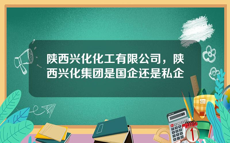 陕西兴化化工有限公司，陕西兴化集团是国企还是私企